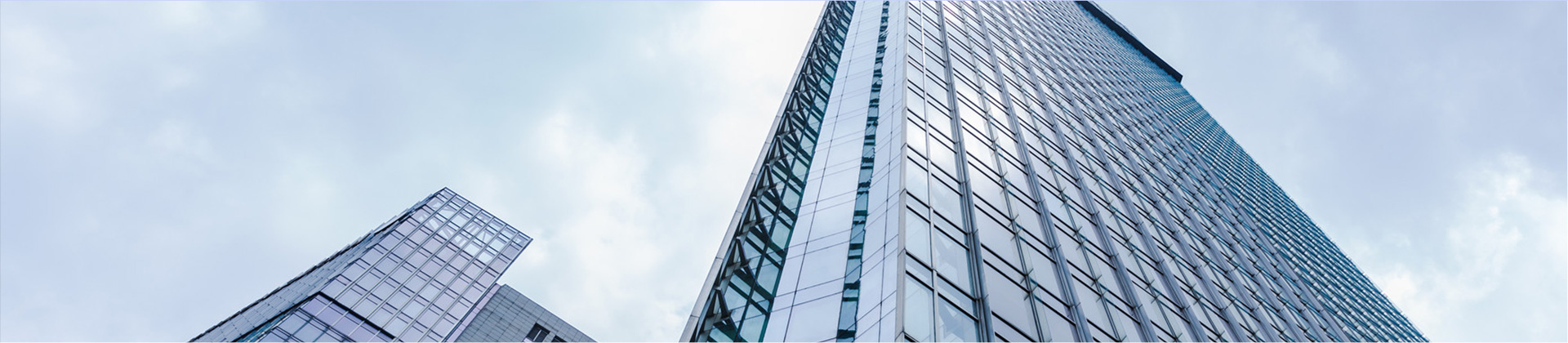 关于xiongmao熊猫体育